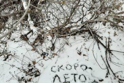 Дмитрий Песков - Денис Грайфер - Коронавирус может уйти через 5 месяцев - saratov.mk.ru - Саратовская обл.