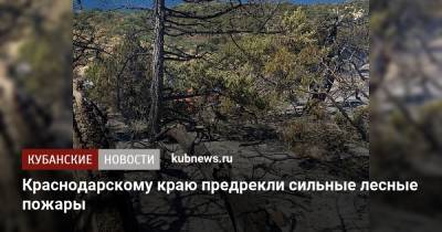 Краснодарскому краю предрекли сильные лесные пожары - kubnews.ru - Орловская обл. - Башкирия - Крым - Краснодарский край - Челябинская обл. - респ. Алтай - Воронежская обл. - Приморье край - респ.Тыва - Забайкальский край - Оренбургская обл. - Ставрополье