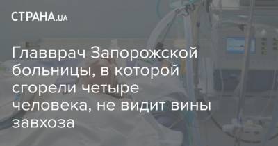 Главврач Запорожской больницы, в которой сгорели четыре человека, не видит вины завхоза - strana.ua - Санкт-Петербург - Турция - Запорожская обл.