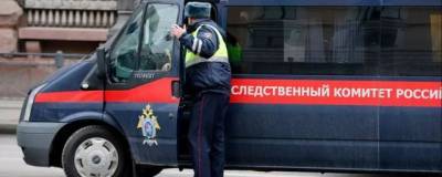 В Петербурге занялись проверкой похоронного бизнеса - runews24.ru - Санкт-Петербург