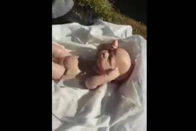 Владимир Владимиров - Дагестанец заявил о подмене тел погибших новорожденных куклами - mk.ru - респ. Дагестан - Ставрополье
