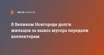 В Великом Новгороде долги жильцов за вывоз мусора передали коллекторам - ren.tv - Новгородская обл. - Великий Новгород - Великий Новгород