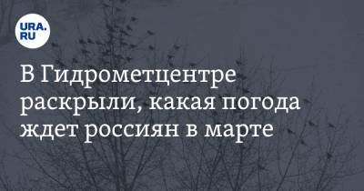 Людмила Паршина - В Гидрометцентре раскрыли, какая погода ждет россиян в марте - ura.news - Краснодарский край - респ. Коми - Ростовская обл. - Волгоградская обл. - окр.Ненецкий - Архангельская обл. - Ставрополье