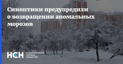 Юрий Варакин - Мороз - Синоптики предупредили о возвращении аномальных морозов - nsn.fm