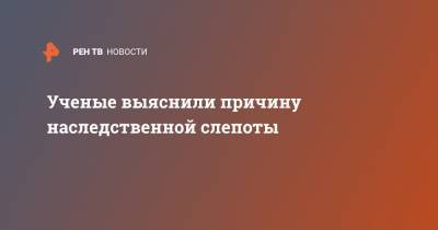 Ученые выяснили причину наследственной слепоты - ren.tv