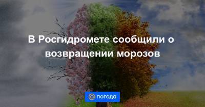Роман Вильфанд - В Росгидромете сообщили о возвращении морозов - news.mail.ru - Калужская обл. - Тверская обл. - Тульская обл.