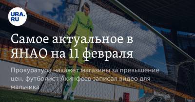Самое актуальное в ЯНАО на 11 февраля. Прокуратура накажет магазины за превышение цен, футболист Акинфеев записал видео для мальчика - ura.news - Салехард - окр. Янао