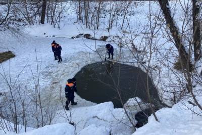 В Ярославле спасатели расчистили водоем от льда для уток - yar.mk.ru - Ярославль