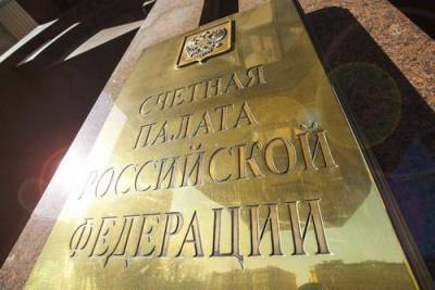 В Счетной палате предлагают не медлить с переводом в постоянный режим налога на самозанятых - argumenti.ru