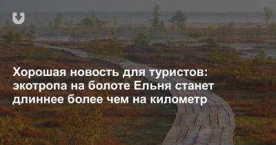 Хорошая новость для туристов: экотропа на болоте Ельня станет длиннее более чем на километр - news.tut.by