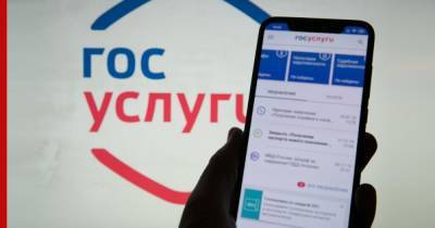 Дмитрий Чернышенко - К концу марта в новой версии портала госуслуг появятся 20 популярных сервисов - profile.ru