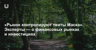 Илон Маск - «Рынок контролируют твиты Маска». Эксперты — о финансовых рынках и инвестициях - news.tut.by - США