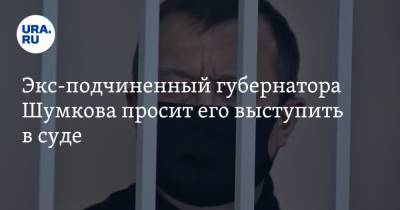 Вадим Шумков - Сергей Пугин - Экс-подчиненный губернатора Шумкова просит его выступить в суде - ura.news - Курганская обл. - Курган - Шадринск