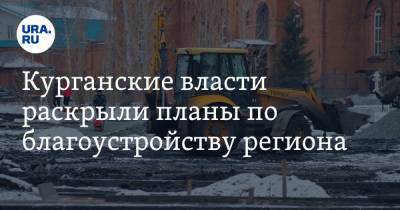 Курганские власти раскрыли планы по благоустройству региона - ura.news - Курганская обл. - Курган - Шадринск