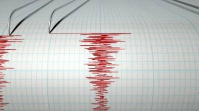 В Тихом океане произошло землетрясение - ru.slovoidilo.ua - Украина - Новая Каледония