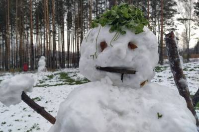 В Новосибирске мужчина избил подростков, которые сломали снеговика - aif.ru - Новосибирск - Кемеровская обл. - Таштагол