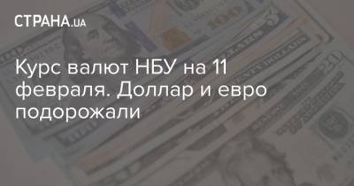 Курс валют НБУ на 11 февраля. Доллар и евро подорожали - strana.ua