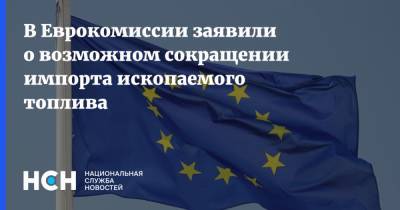 Кадри Симсон - В Еврокомиссии заявили о возможном сокращении импорта ископаемого топлива - nsn.fm