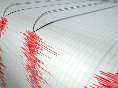 В Тихом океане произошла серия сильных землетрясений - gordonua.com - США - Новая Каледония