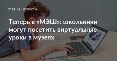 Владимир Высоцкий - Теперь в «МЭШ»: школьники могут посетить виртуальные уроки в музеях - mos.ru - Москва