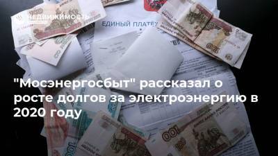 Андрей Ковалев - "Мосэнергосбыт" рассказал о росте долгов за электроэнергию в 2020 году - realty.ria.ru - Москва - Московская обл.