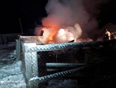 Прокуратура: из пожара в Тобольском районе, где погибли две сестры, спасся 14-летний брат - znak.com - Тюменская обл. - район Тобольский