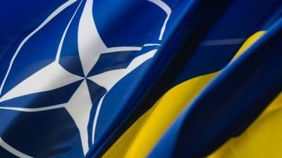 Дмитрий Суслов - Военный эксперт: Украина не получит даже статус кандидата в члены НАТО - newinform.com - Россия - Украина - Киев - Грузия - Черное Море