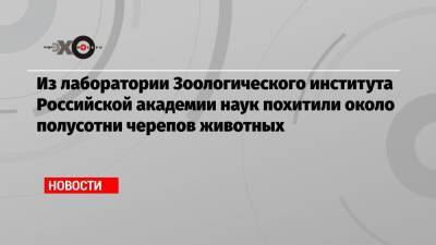 Из лаборатории Зоологического института Российской академии наук похитили около полусотни черепов животных - echo.msk.ru - Санкт-Петербург
