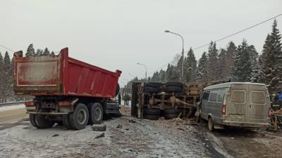 Два водителя грузовиков погибли в ДТП с пассажирской «Газелью» в Новгородской области - riafan.ru - Москва - Санкт-Петербург - Новгородская обл. - Великий Новгород