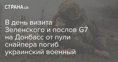 Владимир Зеленский - В день визита Зеленского и послов G7 на Донбасс от пули снайпера погиб украинский военный - strana.ua - Горловка - Донбасс - Донецкая обл.