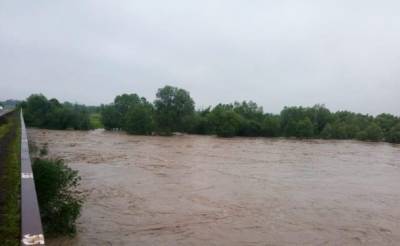 На Закарпатье зафиксировали паводок на 5 реках - 24tv.ua - Новости - Гсчс