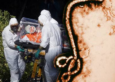 Вирус Эбола, вероятно, может сохраняться в физиологических жидкостях переболевших много месяцев - ВОЗ - nakanune.ru - Washington - Конго