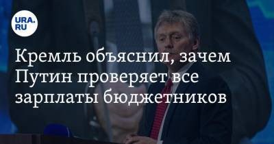 Владимир Путин - Дмитрий Песков - Кремль объяснил, зачем Путин проверяет все зарплаты бюджетников - ura.news