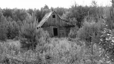 На заброшенном огороде пьяный сибиряк надругался над 16-летней девочкой - vesti.ru - Новосибирск - респ. Хакасия - район Ширинский