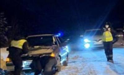 В Югре во время проверки автомобиля полицейские нашли щенка в моторном отсеке - news.megatyumen.ru - Югра