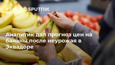 Иван Федяков - Аналитик дал прогноз цен на бананы после неурожая в Эквадоре - smartmoney.one - Эквадор