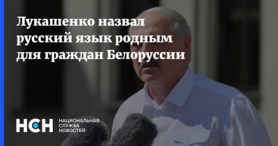 Владимир Путин - Александр Лукашенко - Лукашенко назвал русский язык родным для граждан Белоруссии - nsn.fm - Россия - Белоруссия