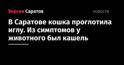 В Саратове кошка проглотила иглу. Из симптомов у животного был кашель - nversia.ru - Саратовская обл. - Саратов