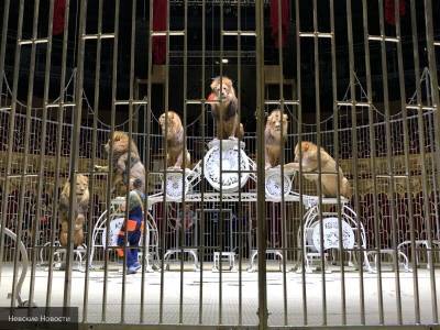 Аскольд Запашный - Запашный рассказал к чему приведет запрет на использование животных в цирке - nation-news.ru