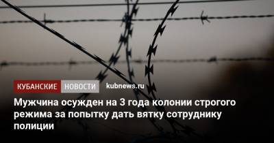 Мужчина осужден на 3 года колонии строгого режима за попытку дать вятку сотруднику полиции - kubnews.ru - Краснодарский край - Новороссийск