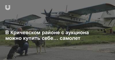 В Кричевском районе с аукциона можно купить себе… самолет - news.tut.by