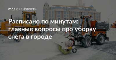 Петр Бирюков - Расписано по минутам: главные вопросы про уборку снега в городе - mos.ru