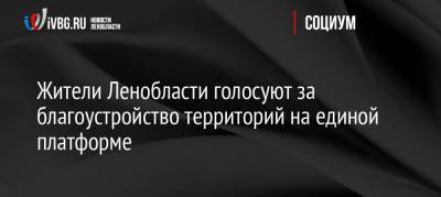 Жители Ленобласти голосуют за благоустройство территорий на единой платформе - ivbg.ru - Ленинградская обл. - Благоустройство