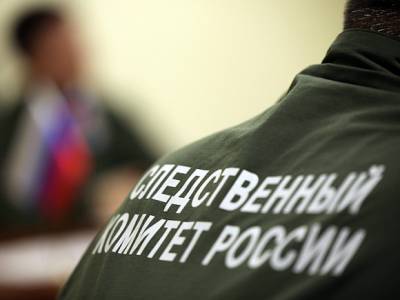 Анастасия Проскурина - Следователи, доведшие ученую из Новосибирска до слез, заявили, что им тоже «требуется терпение» - rosbalt.ru - Новосибирск