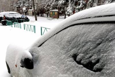 Светлана Цветайло - В Саратове выпала полумесячная норма снега - saratov.mk.ru - Саратовская обл. - Саратов