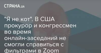 "Я не кот". В США прокурор и конгрессмен во время онлайн-заседаний не смогли справиться с фильтрами в Zoom - strana.ua - США - New York - Техас