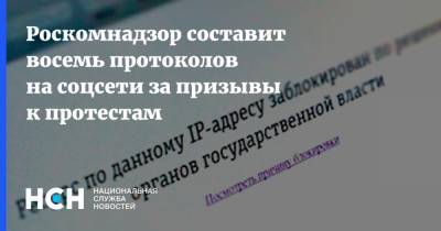 Роскомнадзор составит восемь протоколов на соцсети за призывы к протестам - nsn.fm