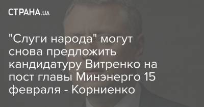 Юрий Витренко - Александр Корниенко - "Слуги народа" могут снова предложить кандидатуру Витренко на пост главы Минэнерго 15 февраля - Корниенко - strana.ua