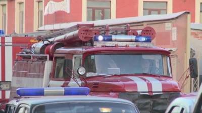 Пожар в Петро-Славянке ликвидируют 26 пожарных и 5 единиц техники - piter.tv