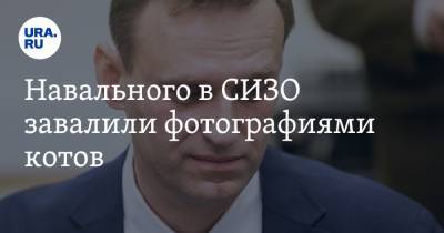 Алексей Навальный - Юлия Навальная - Навального в СИЗО завалили фотографиями котов. Скрин - ura.news